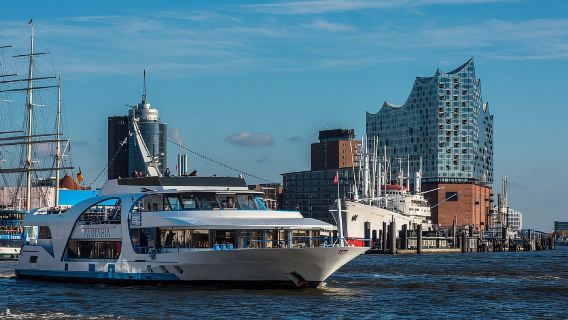 Amburgo: crociera turistica di 2 ore a Blankenese