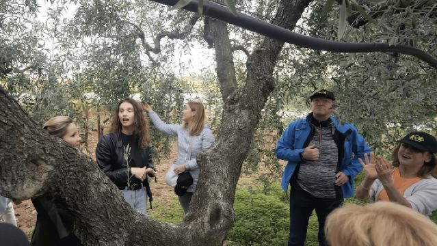 바를레타-안드리아-트라니: 올리브 오일 공장 투어 및 시음 체험