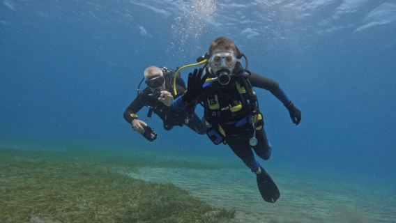 Los Cristianos: Try Dive for beginners