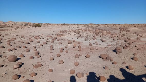 San Juan: Tour della Valle della Luna nel Parco Ischigualasto