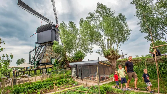 Rotterdam: biglietto d'ingresso al patrimonio mondiale dell'UNESCO Kinderdijk