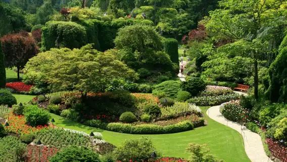 維多利亞1日遊（含BC渡輪+寶翠花園）溫哥華來回/兩人成團