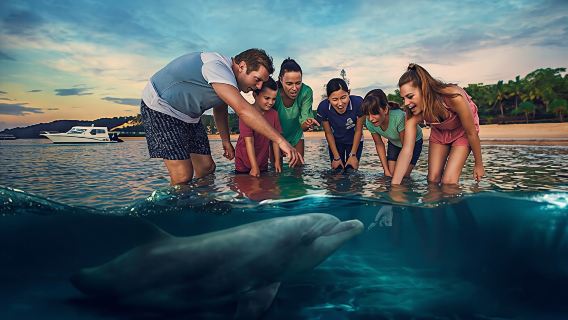 Lawatan sehari ke Pulau Dolphin Moreton di Brisbane dengan baucar makan termasuk, pilihan snorkel, luncur pasir dan memberi makan lumba-lumba