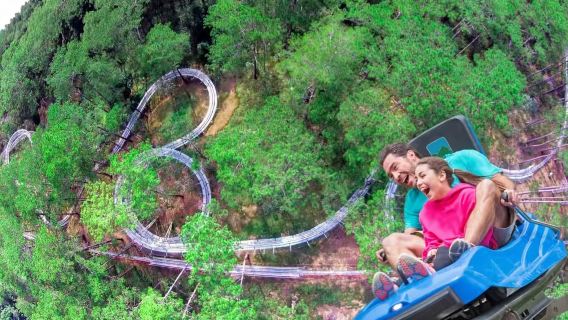 Tour 1 ngày Nha Trang Đà Lạt: Chuyến du lịch gia đình cả ngày + điểm tham quan nổi tiếng bắt buộc phải check-in + đón tận nơi