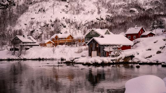 From Tromsø: Arctic Roadtrip: fjords tour with scenic picnic