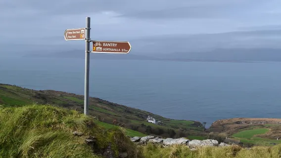 Från Cork: Guided rundtur till Mizen Head i West Cork under en hel dag