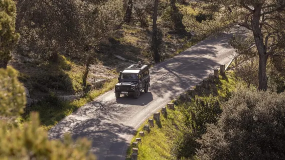 From Arles: Alpilles Regional Park Provence 4x4 Safari