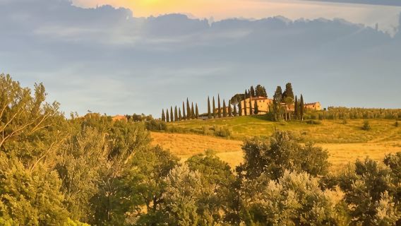 Chianti wine tour with sampling of wines, oil and balsamic vinegar