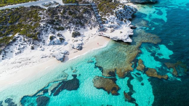 Hin- und Rückfahrt mit der Fähre von Perth zur Insel Rottnest