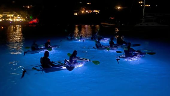 Tur Kayak Malam di St. John - Westin Resort