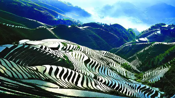 陽朔私人團1日遊 龍脊梯田 金坑梯田 黃洛瑤寨 金佛頂觀景點