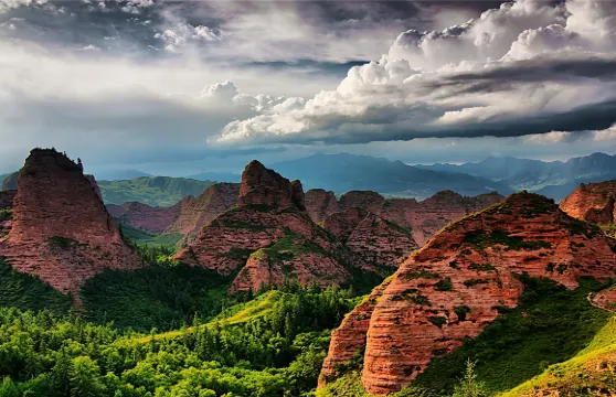 坎布拉國家森林公園一日遊【純玩無購物+市區內上門接送】