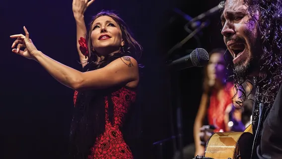 Show de Flamenco e Passeio de Tapas em Pequeno Grupo em Sevilha