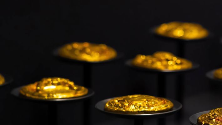 南昌漢代海昏侯國考古遺址公園【猩咖說|含門票|文史大咖1.5H拼團精講含耳麥