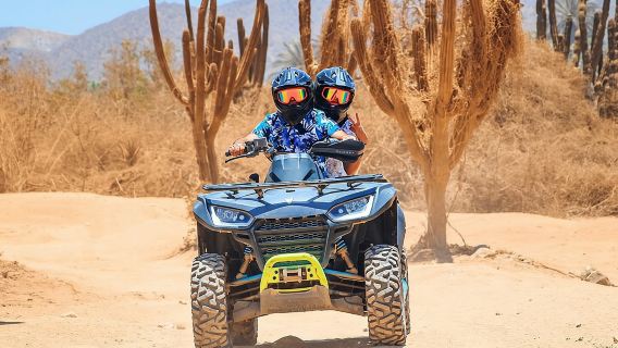 Cabo San LucasExperiences