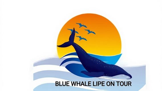 Private Experience with Fishing, Barbeque, Sashimi and Snorkeling