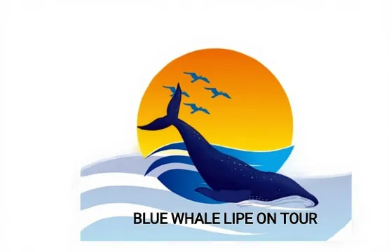 私人釣魚、燒烤、生魚片和浮潛體驗