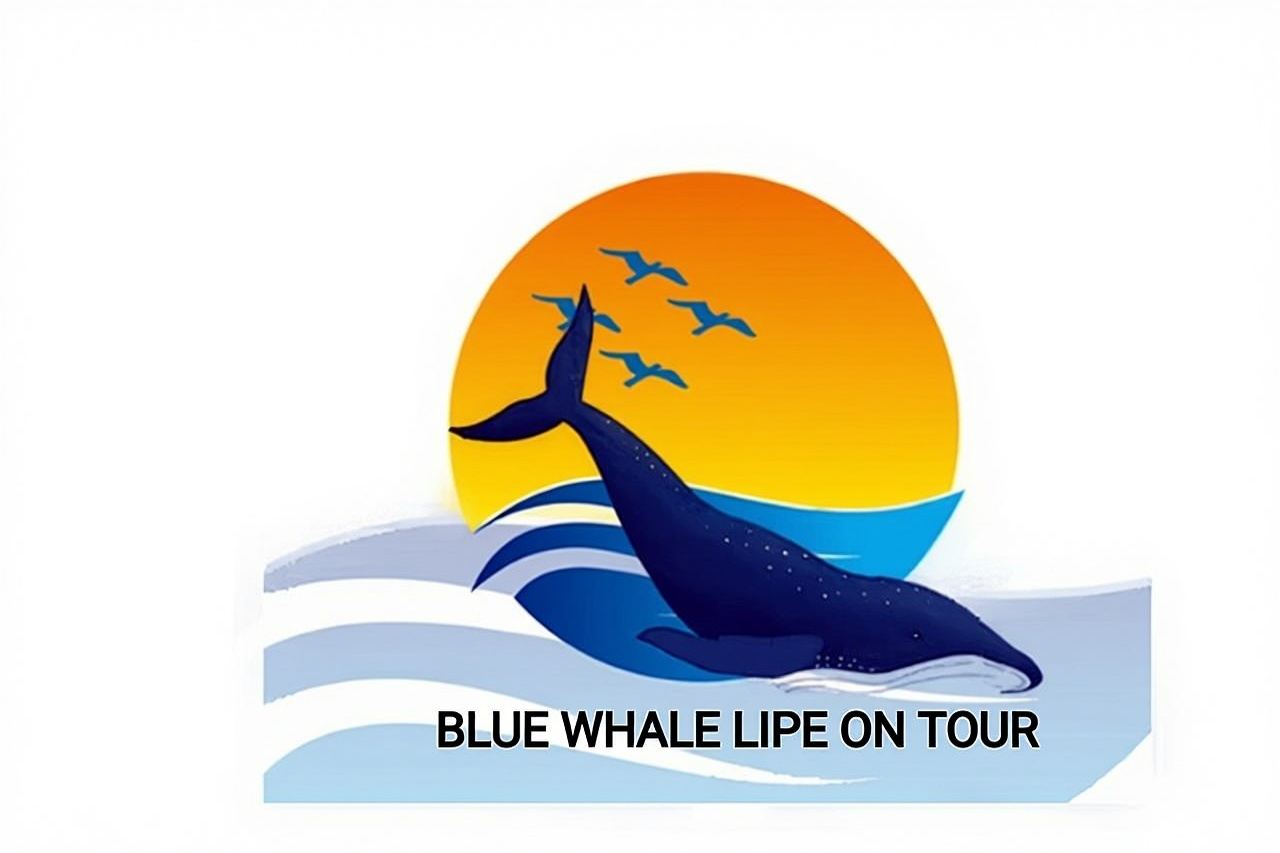 Private Experience with Fishing, Barbeque, Sashimi and Snorkeling