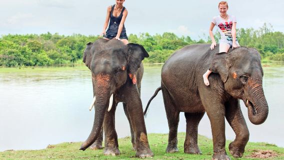 Esperienza ATV fuoristrada a Phuket + giro in elefante: tour culturale al Grande Buddha e al tempio Wat Chalong