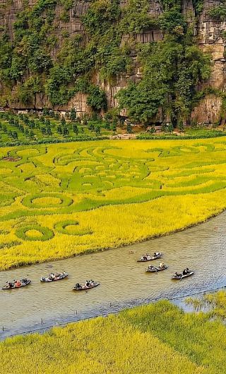 ทัวร์หรู 1 วันที่จังหวัดนินห์บình: ฮวาลือ - ถ้ำตัมก๊อก - ถ้ำมัว (กลุ่มเล็ก - กลุ่มใหญ่ - ทัวร์ส่วนตัว)
