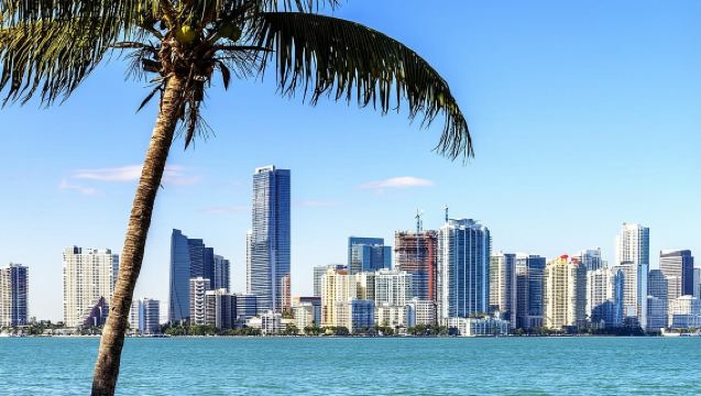 Tour por la ciudad de Miami PLUS y tour en barco