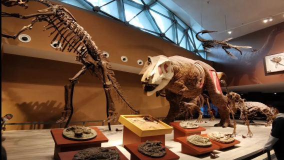 Een eendaagse tour het Natuurhistorisch Museum van Shanghai, de voetgangersstraat Nanjing Road, de Bund, de Duoyun-boekwinkel en de Stadsgodtempel.