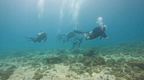 2 Dives for Certified Divers in Fujairah with lunch & transfer 1