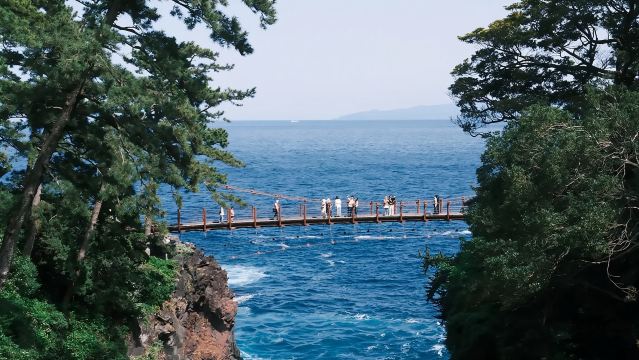 Japan Izu Jogasaki Coast + Matcha Pudding Mountain + Seaside Train