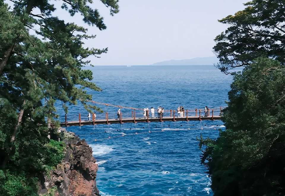 A day trip to Kinosaki Coast, Izu, Japan + Mt. Omuro + Ocean View