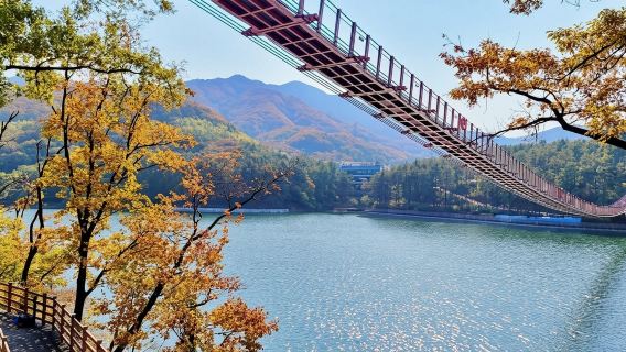 Экскурсия в демилитаризованную зону (DMZ) в Сеуле, Южная Корея: Туристско-информационный центр Имджингак/Третий туннель с гидом на китайском/английском языке