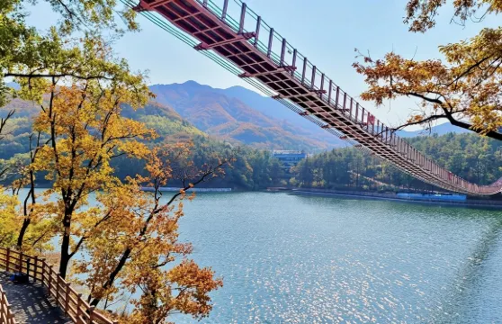 韓國首爾 DMZ非武裝地帶之旅 臨津閣遊客中心/第三地道 中文/英文團