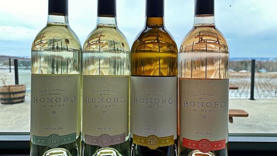 NON BUS Traverse City: Champagne-Style Bubbly & Wine Tour