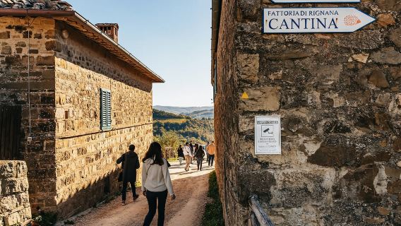 Safari Mencicipi Anggur Tuscany GRUP KECIL dengan Makan Siang / Makan Malam
