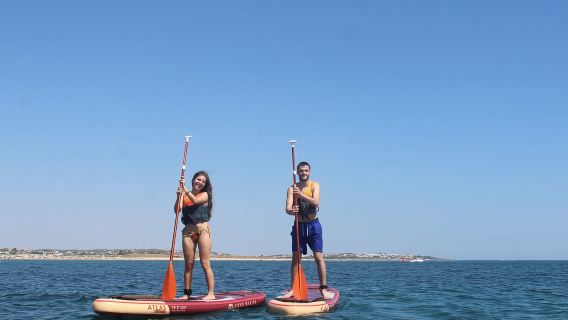 Armação de Pêra: noleggio di stand up paddle