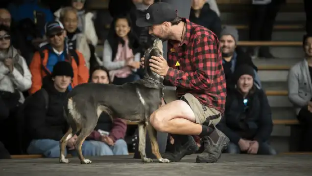 Queenstown: Walter Peak Gourmet BBQ & Lake Whakatipu Cruise