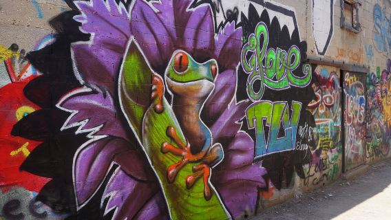 Tel Aviv: Street Art- und Graffiti-Tour