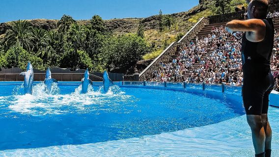 馬斯帕洛馬斯：帕爾米托斯公園門票（含海豚和鳥類表演）