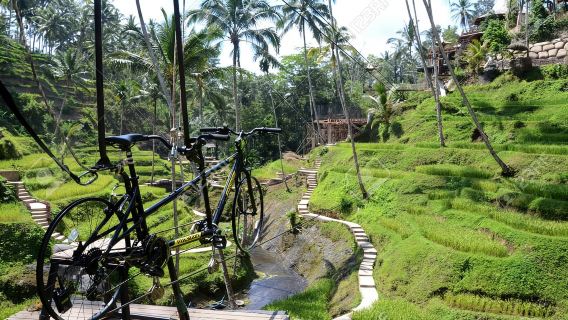 Ubud: Petualangan Sepeda Langit, Ayunan & Sawah dengan Transfer
