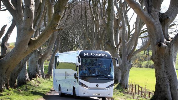 Game of Thrones and Giant's Causeway Day Tour from Belfast
