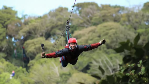 Monteverde : excursion palpitante en tyrolienne dans la canopée