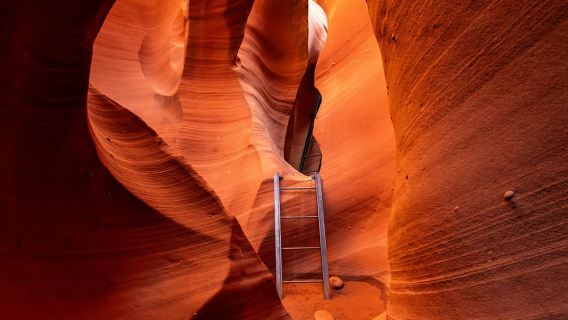 Trang: Chuyến tham quan Hẻm núi Rắn đuôi chuông và Cú