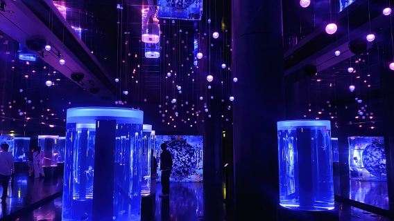 Tokio: Recorrido nocturno en bicicleta eléctrica con la Torre de Tokio y espectáculo de delfines