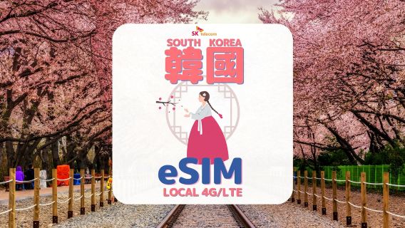 [Daiso e-coupon Giveaway | Korea eSIM] South Korea SKT Non-stop Local Data & Voice eSIM + Free T-Money