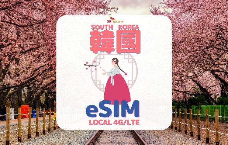 [Daiso e-coupon Giveaway | Korea eSIM] South Korea SKT Non-stop Local Data & Voice eSIM + Free T-Money