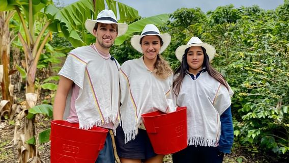 Recorrido por la finca cafetera de Medellín con paseo en tranvía y teleférico