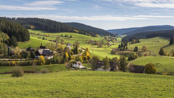 法蘭克福 周邊封神路線包車｜巴登巴登溫泉 黑森林 10小時遊