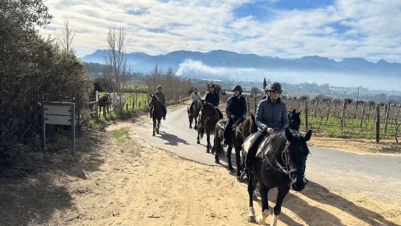 Vrede en Lust Wine Estate: เส้นทางขี่ม้า 2H