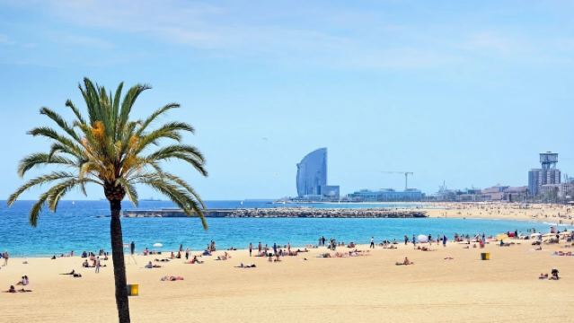 Mercat de la Boqueria in Barcelona + Strand van Barcelona + Picasso Museum