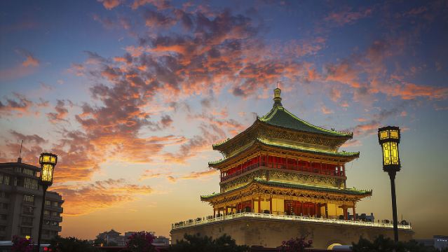 [ทัวร์เหมาทัวร์ขนาดเล็กชมซากุระสไตล์ถัง] ทัวร์วันซีอาน