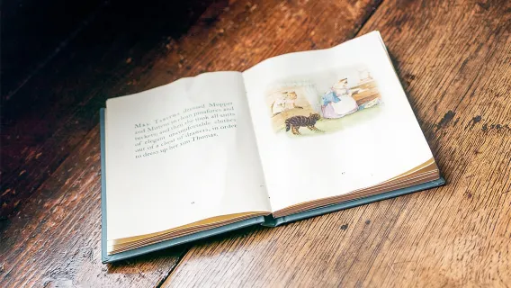 Lake District: Beatrix Potter Half-Day Tour